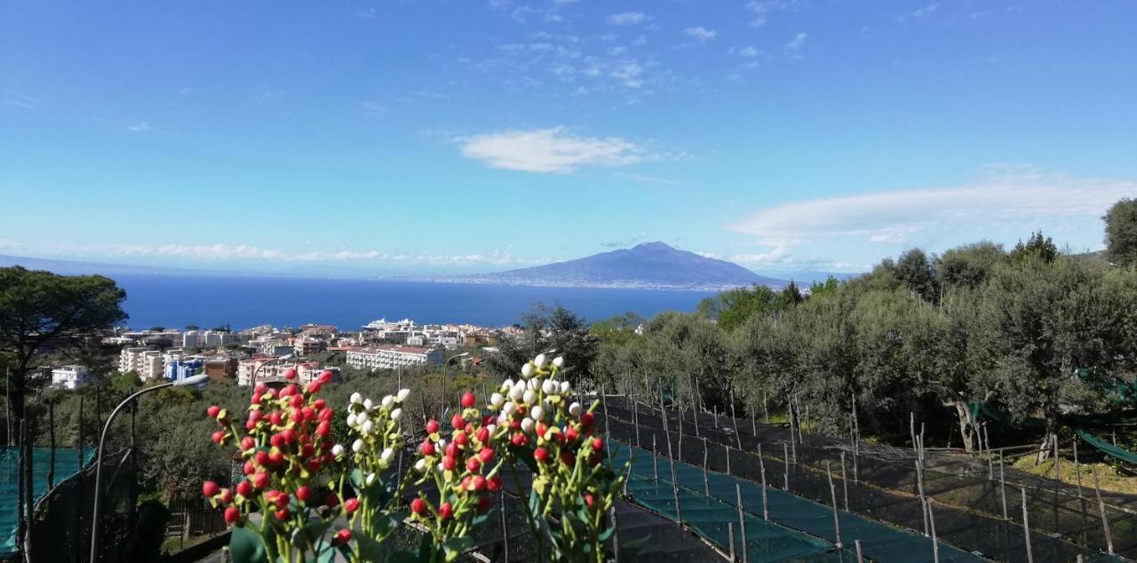 Appartement Sorrento Dolce Casa Extérieur photo