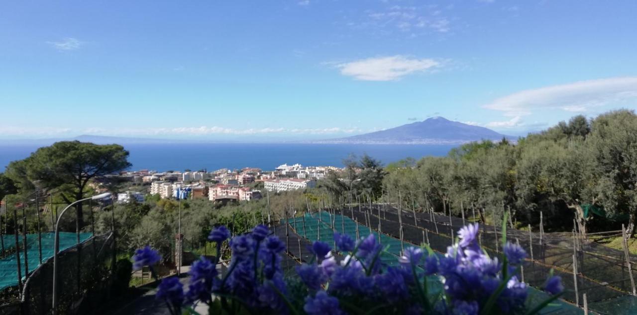 Appartement Sorrento Dolce Casa Extérieur photo